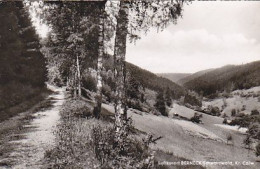 AK 189699 GERMANY - Berneck / Schwarzwald - Hochschwarzwald