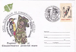 WOODPECKER, SPECIAL  PMK ON COVERS WITH STAMPS 1992 , ROMANIA, - Climbing Birds