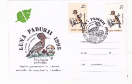 HOOPOE, SPECIAL  PMK ON COVERS WITH STAMPS 1995 RARE!, ROMANIA - Climbing Birds