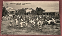 KALMTHOUT - CALMPTHOUT - Schoolvilla  Diesterweg - Achterzijde En Zandplein  - - Kalmthout