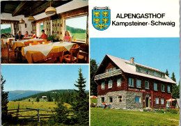 48128 - Niederösterreich - Kampstein , Almhütte Gasthof Kampsteiner Schwaig , Inh. Fam. Lueger - Gelaufen 1974 - Neunkirchen