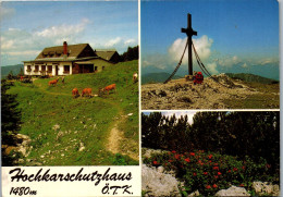 48116 - Niederösterreich - Göstling A. Ybbs , Hochkarschutzhaus Des Ö.T.K. , Peperl U. Engel Esletzbichler - Scheibbs