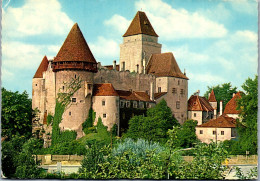 48099 - Niederösterreich - Heidenreichstein , Burg Heidenreichstein Im Waldviertel - Gelaufen 1981 - Gmünd