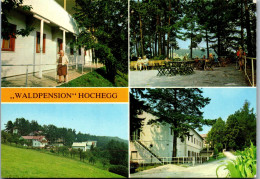 48097 - Niederösterreich - Hochegg , Grimmenstein , Waldpension Hochegg - Gelaufen 1982 - Neunkirchen