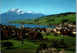 47945 - Schweiz - Küssnacht , Am Rigi , Pilatus , Panorama - Gelaufen 1982 - Küssnacht