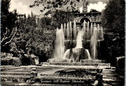 48388 - Italien - Tivoli , Villa D'Este , Fontana Dell'Organo , Idraulico - Nicht Gelaufen  - Tivoli