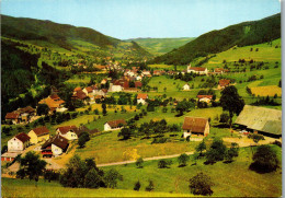 48295 - Deutschland - Simonswäldertal , Schwarzwald , Panorama - Gelaufen 1993 - Emmendingen