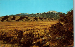 48211 - USA - Colorado , Sand Dunes , Geologic Monument  - Nicht Gelaufen  - Sonstige & Ohne Zuordnung