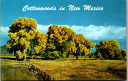 48178 - USA - New Mexico , Cottonwoods - Nicht Gelaufen  - Otros & Sin Clasificación