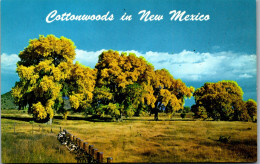48178 - USA - New Mexico , Cottonwoods - Nicht Gelaufen  - Autres & Non Classés