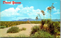 48180 - USA - Las Cruces , Organ Mountains , Desert Yuccas , New Mexico , Yucca - Nicht Gelaufen  - Otros & Sin Clasificación