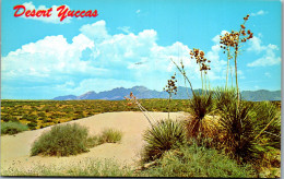 48180 - USA - Las Cruces , Organ Mountains , Desert Yuccas , New Mexico , Yucca - Nicht Gelaufen  - Autres & Non Classés