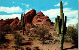 48156 - USA - Arizona , Desert Beauty - Nicht Gelaufen  - Sonstige & Ohne Zuordnung