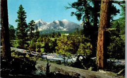 48154 - USA - Flagstaff , San Francisco Peaks , Arizona - Nicht Gelaufen  - Andere & Zonder Classificatie