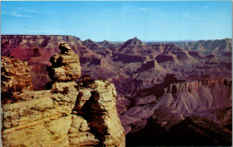48151 - USA - Grand Canyon , National Park , Duck On The Rock , Arizona - Nicht Gelaufen  - Gran Cañon