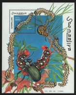 Somalia 1999 - Mi-Nr. Block 61 ** - MNH - Raupen - Somalie (1960-...)