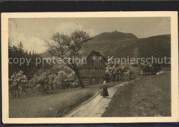 42344026 Waltersdorf Zittau Partie In Der Lausche Waltersdorf Zittau - Grossschoenau (Sachsen)