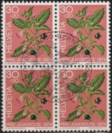 1974 Schweiz Pro Juventute ET ° Zum: CH J249, Mi: CH 1043, Tollkirsche, Giftpflanzen Des Waldes - Plantes Toxiques