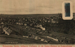 ESCH-SUR-ALZETTE  1914  Publicité : Naturreine, Beste, Billigste CICHORIE    A.de SAINT-HUBERT, In Luxemburg - Esch-Alzette