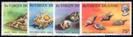 British Virgin Islands 1974 Seashells Unmounted Mint. - British Virgin Islands