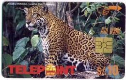 PERU : PTE-064 10 NS Jaguar U Otorongo USED - Pérou