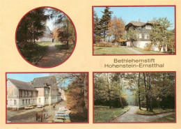 73946768 Hohenstein-Ernstthal Bethlehemstift Waldhaus Blockhaus Altersheim Park - Hohenstein-Ernstthal