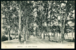 A65  ALGERIE CPA  BATNA - LES ALLÉES D' AUMALE - Verzamelingen & Kavels