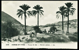 A65  ALGERIE CPA  SCENES ET TYPES - PAYSAGE DU SUD , PALMIERS-DATTIERS - Sammlungen & Sammellose