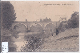 MONNIERES- PONT DE MONNIERES- ANIMEE - Autres & Non Classés