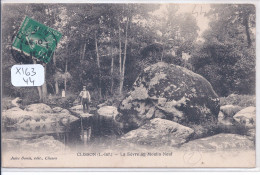 CLISSON- LA SEVRE AU MOULIN-NEUF - Clisson