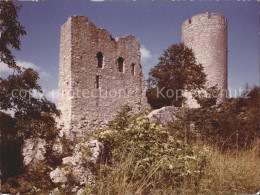 42297784 Neumarkt Oberpfalz Burgruine Neumarkt - Neumarkt I. D. Oberpfalz