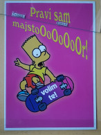 KOV 497-5 - The Simpsons , American Animated Series, Film, Movie, Skateboard - Disneyland