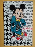 KOV 497-6 - Disney, Mickey Mouse, Souris, - Disneyland