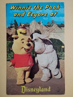 KOV 497-8 - Disney, WINNIE THE POOH - Disneyland