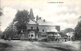 Flostoy - Le Château De Doyon - Havelange