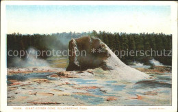 12020931 Yellowstone_National_Park Giant Geyser Cone - Sonstige & Ohne Zuordnung