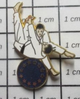 1719 Pin's Pins / Rare Et De Belle Qualité !!! THEME SPORTS / JUDO KARATE DRAPEAU EUROPE - Judo