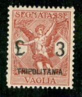 Colonie - Tripolitania - Segnatasse Vaglia - 1924 - 3 Lire (6) - Gomma Integra - Ottimamente Centrato - Andere & Zonder Classificatie