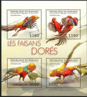 Burundi 2012 Bird Red Bellied Jinji Mountain Chicken，MS MNH - Ungebraucht