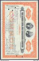 1938 USA STOCK SHARE AZIONE THE LEIGH COAL & NAVIGATION COMPANY PENNSYLVANIA - Mines