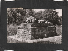 126105          Francia,      Les  Champs  De  Bataille  De  Verdun,   VG   1955 - Monuments Aux Morts