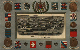 ESCH-SUR-ALZETTE  - Vue Générale (carte En Relief) - Esch-Alzette