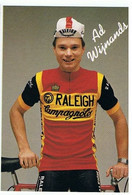 Ad Wijnands - TI Raleigh - 1982 - Card / Carte - Cyclists - Cyclisme - Ciclismo -wielrennen - Cyclisme