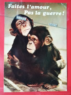 KOV 507-1 - MONKEY,  - Singes