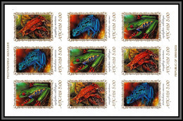 80981 Noyta Frogs Grenouilles Rana Reptiles  ** MNH 2000 Non Dentelé Imperf Superbe Visuel - Grenouilles