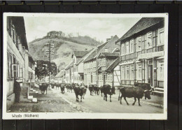 DR: Ansichtskarte Von Wieda - Südharz Mit Almtrieb Auf Dorfstraße Vom 7.7.1947 Mit 12 Pf Arbeiter Knr: 947 - Bad Sachsa