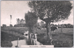 Postkaarten > Europa > Nederland > Gelderland >  Zutphen Aan De Berkel Gebruikt 1914 (13510) - Zutphen