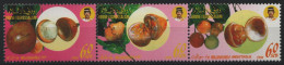 Brunei 1990 - Mi-Nr. 427-429 ** - MNH - Früchte / Fruits - Brunei (1984-...)