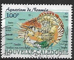 NOUVELLE CALEDONIE: Aquarium De Nouméa:Nautile   N°841  Année:2001. - Used Stamps