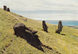 Chile - Easter Island , Moai On The Slopes Of Rano Raraku Volcano - Chili